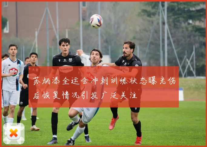 苏炳添全运会冲刺训练状态曝光伤后恢复情况引发广泛关注